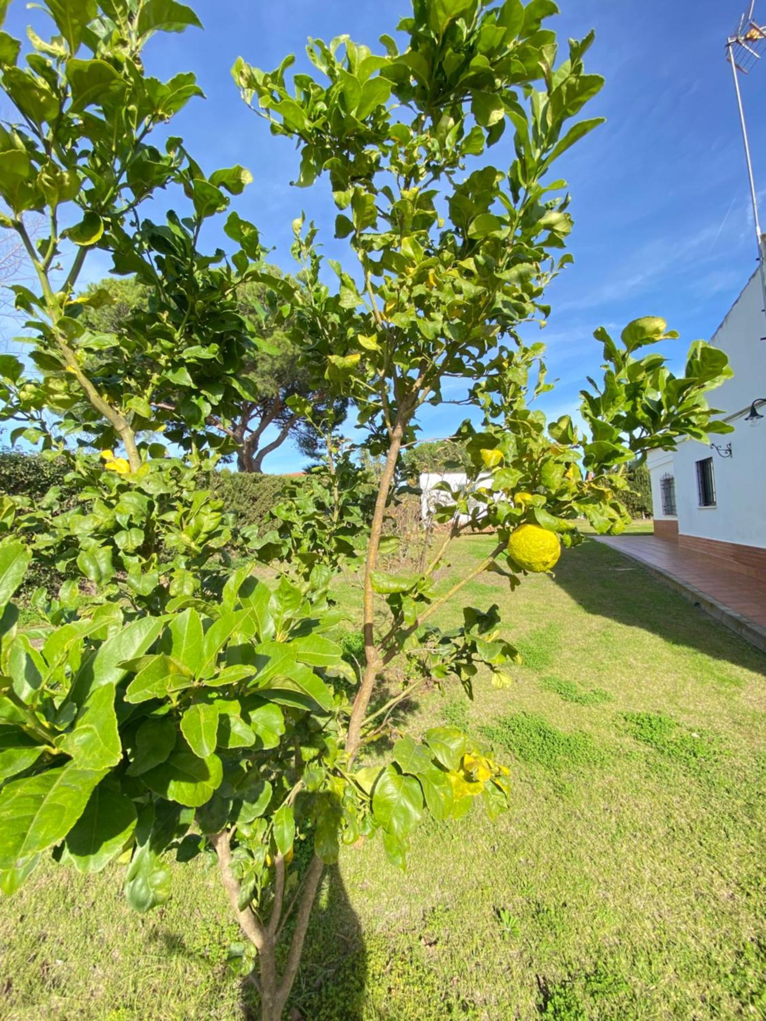 Villa Lua Cartaya Exterior foto